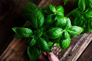 Essential Oils - Image 13